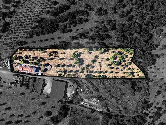 Quinta venda em Mouriscas, Abrantes
