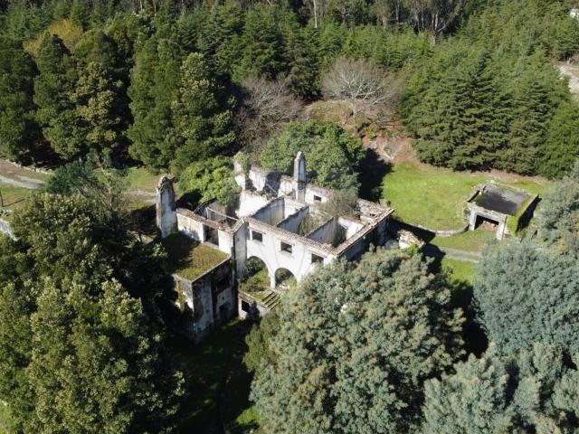 Quinta venda em Canas de Senhorim, Nelas