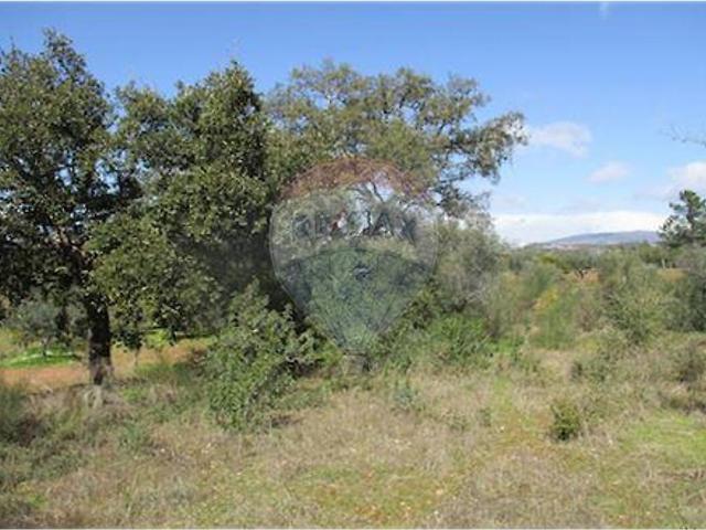 Quinta venda em Ninho do Açor, Castelo Branco