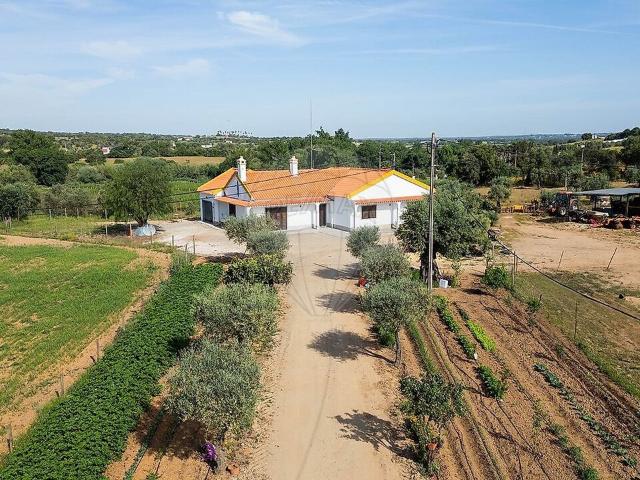 Quinta venda em Nossa Senhora do Bispo, Montemor-o-Novo