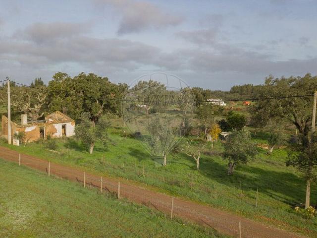 Quinta venda em Colos, Odemira
