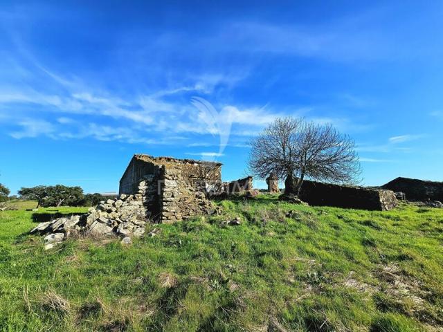 Quinta venda em Ourique, Beja