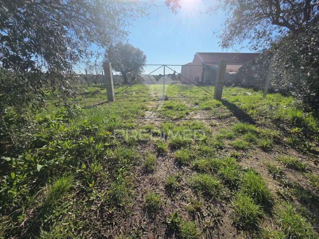 Quinta venda em Tomar, Santarém