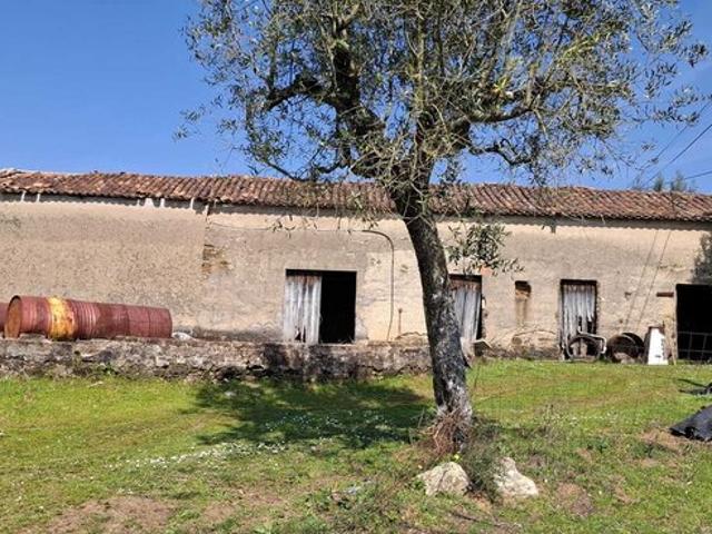 Quinta venda em Rego Da Murta, Santarém