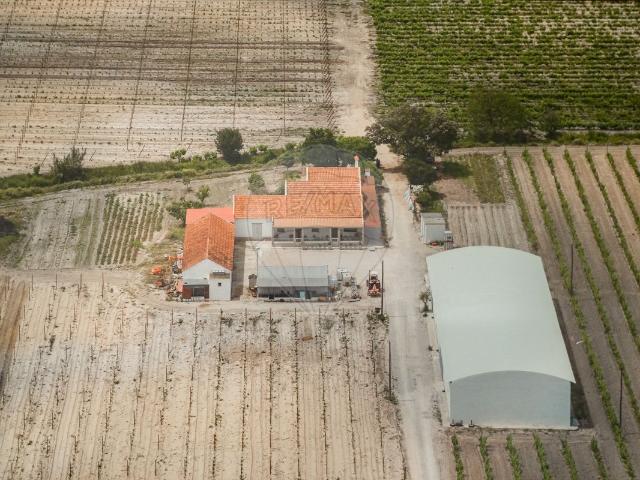 Quinta venda em Lagameças, Palmela