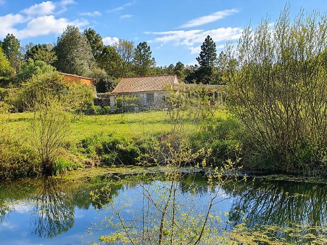 Quinta venda em Pedrógão de São Pedro e Bemposta, Penamacor
