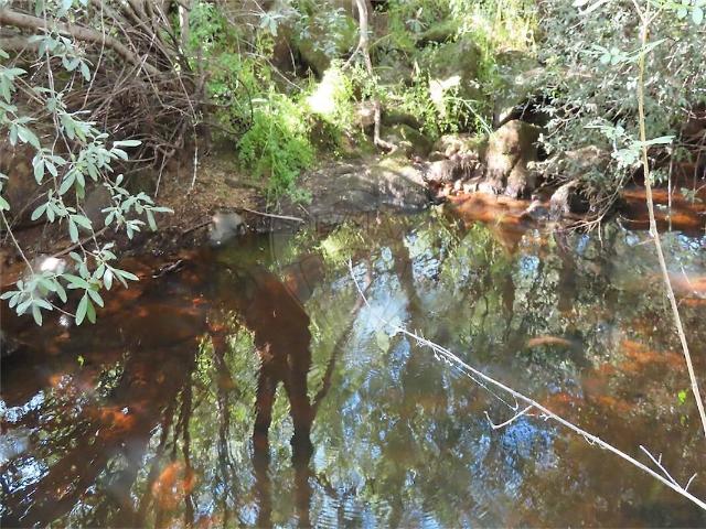 Quinta venda em Pedrógão de São Pedro e Bemposta, Penamacor