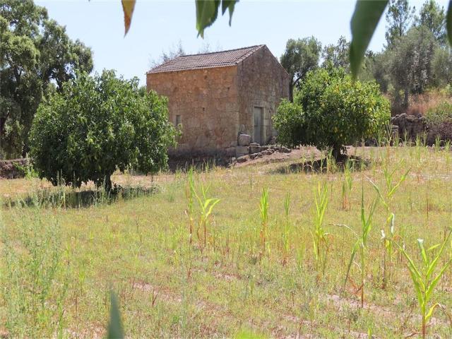 Quinta venda em Castelo Branco, Penamacor