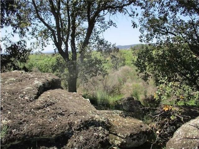 Quinta venda em Castelo Branco, Penamacor