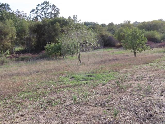 Quinta venda em Castelo Branco, Penamacor