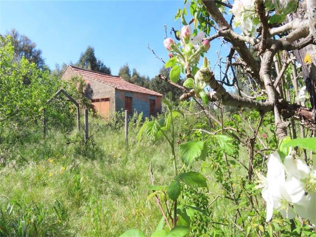 Quinta venda em Castelo Branco, Penamacor