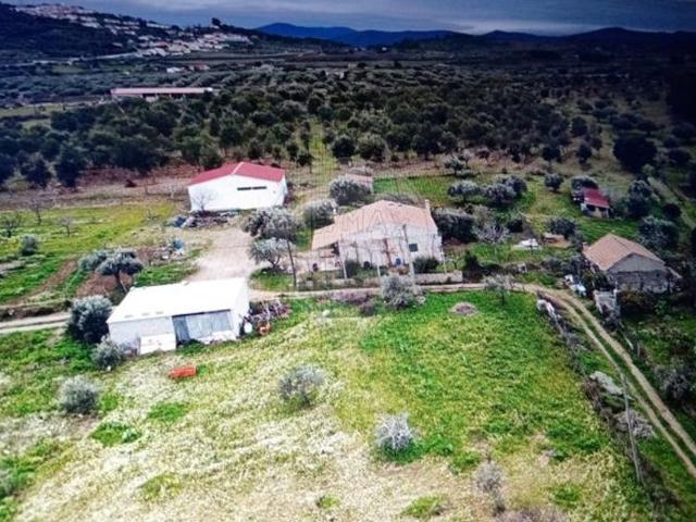 Quinta venda em Castelo Branco