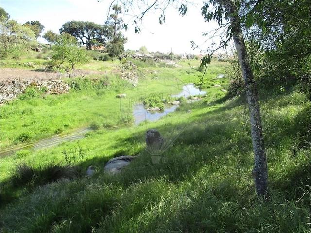 Quinta venda em Penamacor