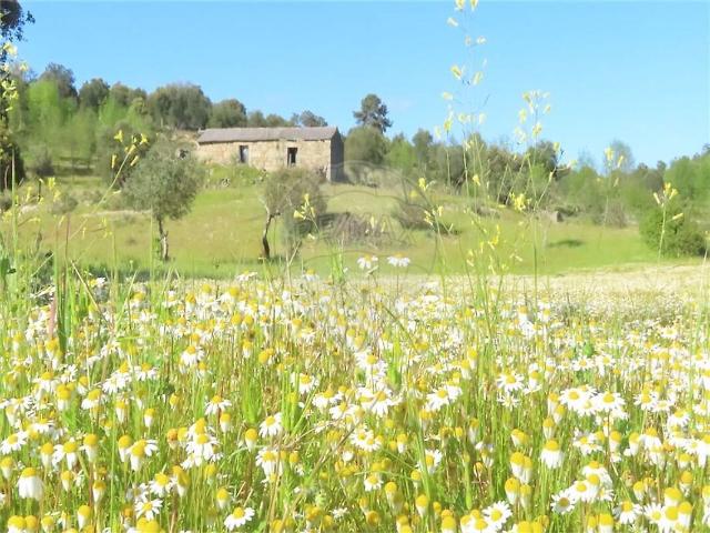 Quinta venda em Penamacor