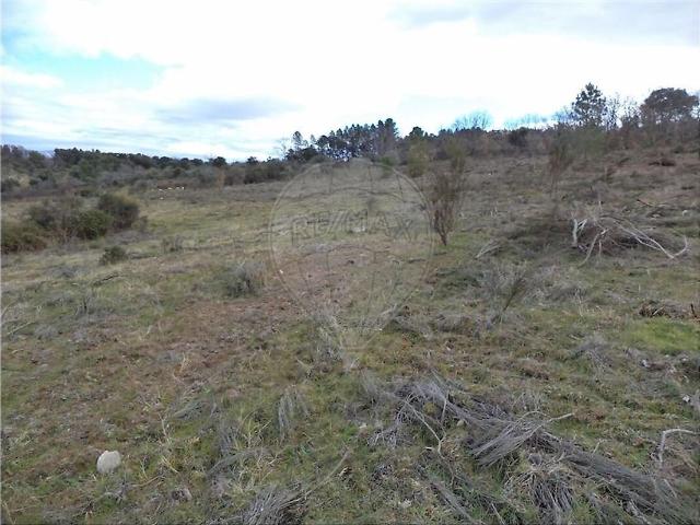 Quinta venda em Penamacor