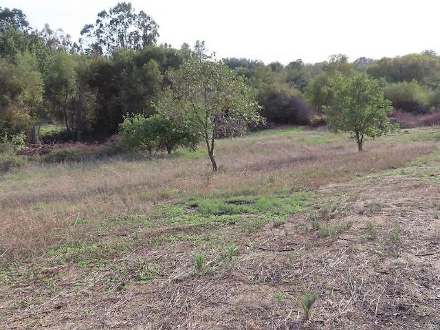 Quinta venda em Penamacor