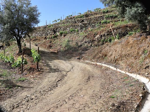 Quinta venda em Presegueda, Peso Da Régua