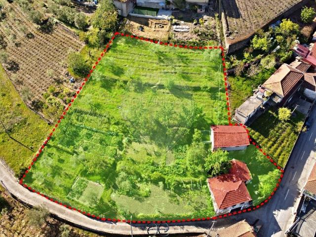 Quinta venda em Peso Da Régua, Vila Real