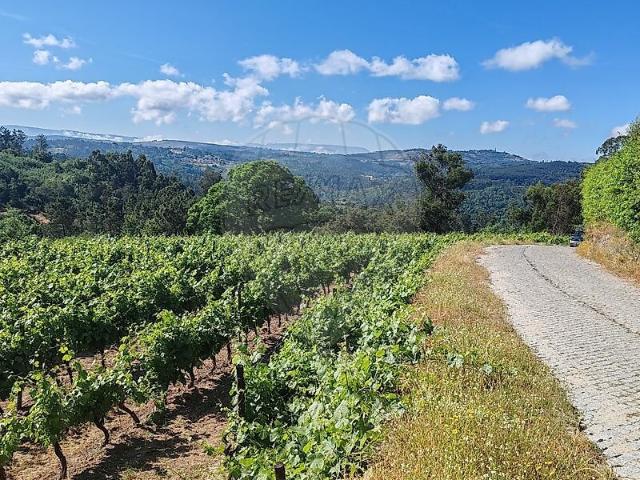 Quinta venda em Pindo, Penalva do Castelo