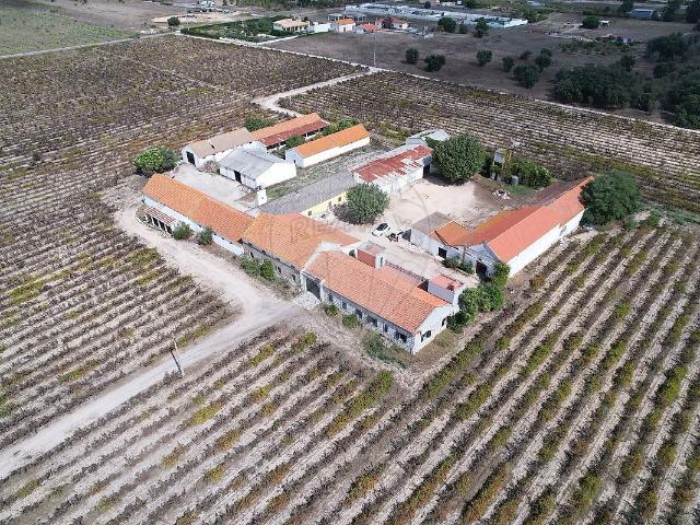 Quinta venda em Fonte Barreira, Palmela