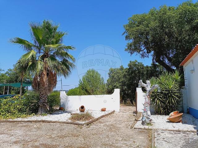 Quinta venda em Portalegre, Montargil