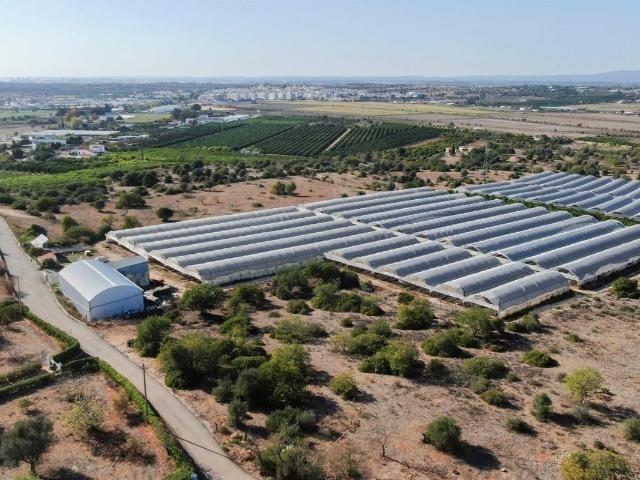 Quinta venda em Lagoa, Faro