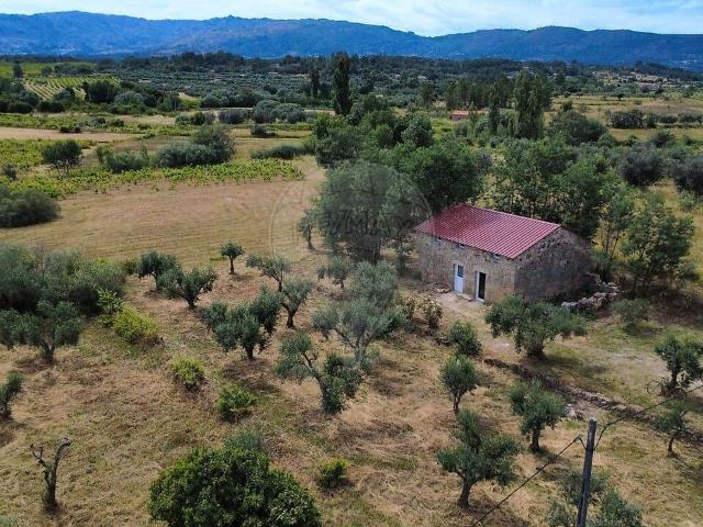 Quinta venda em Póvoa de Atalaia e Atalaia do Campo, Fundão