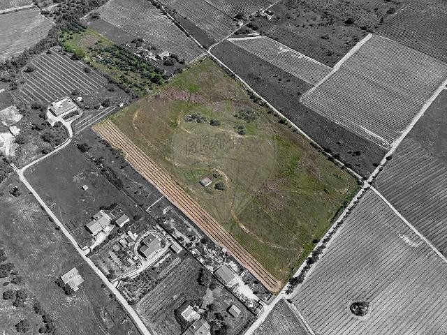 Quinta venda em Reguengos de Monsaraz
