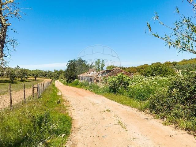Quinta venda em São Bartolomeu do Outeiro, Portel