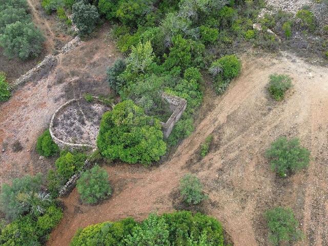 Quinta venda em São Brás de Alportel
