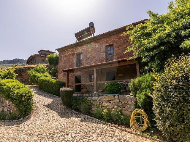 Quinta venda em São Cosmado, Armamar