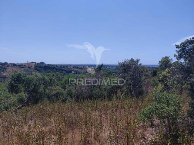 Quinta venda em Santiago Do Cacém, Setúbal