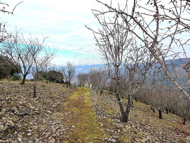 Quinta venda em Nagoselo Do Douro, Viseu