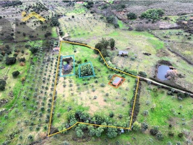 Quinta venda em Castelo Branco, Idanha-a-nova