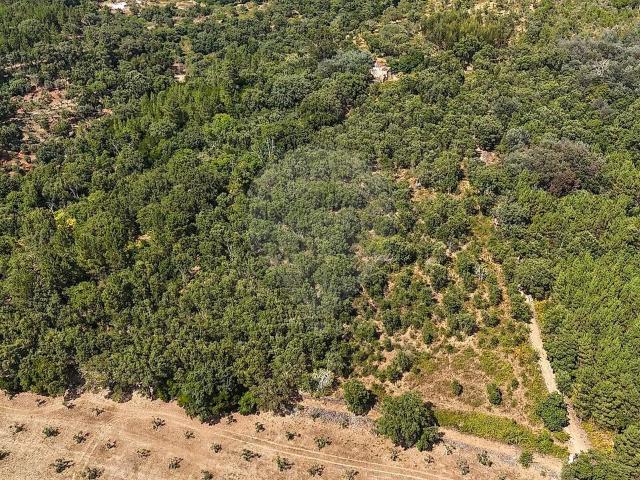 Quinta venda em São Salvador da Aramenha, Marvão