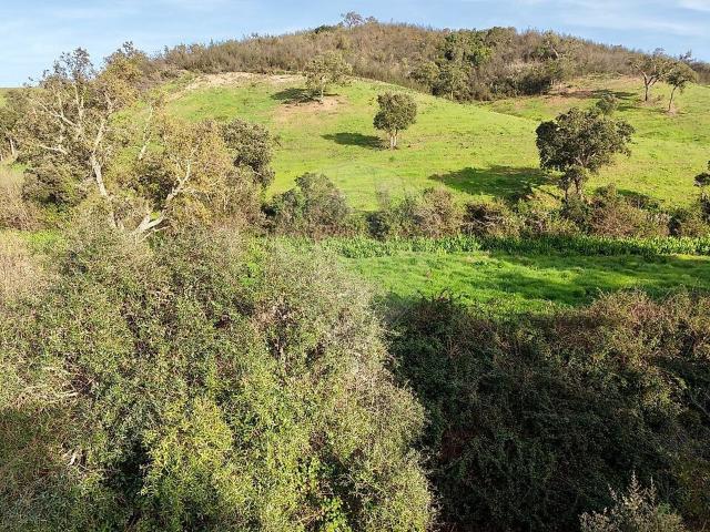 Quinta venda em Gomes Aires, Odemira