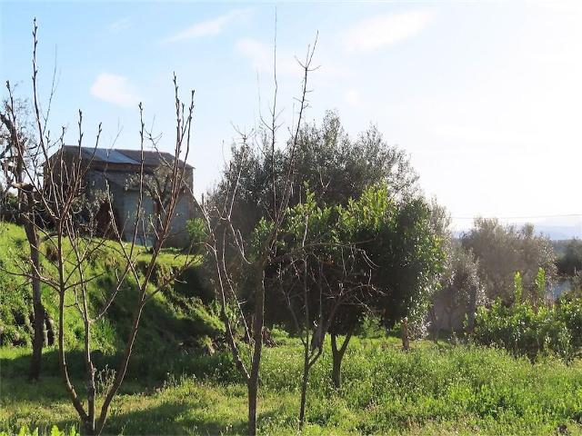 Quinta venda em São Vicente da Beira, Castelo Branco
