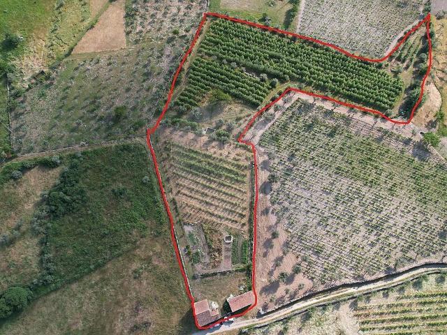 Quinta venda em Santa Marinha, Seia