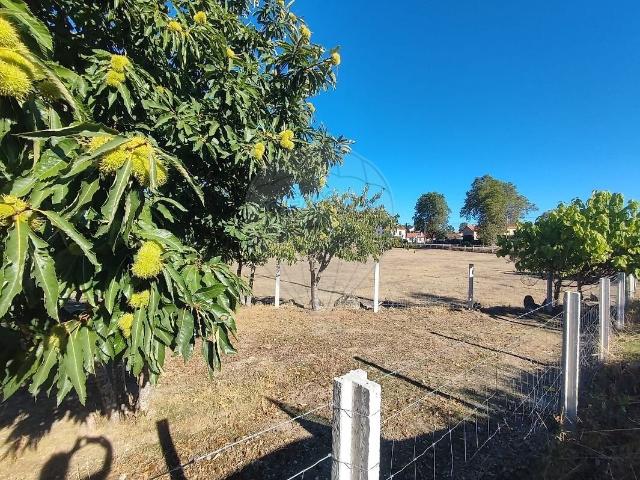 Quinta venda em Santana da Azinha, Guarda