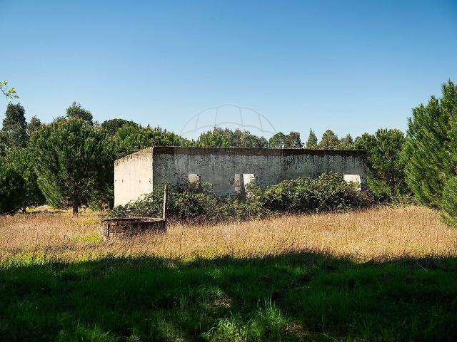 Quinta venda em Santana do Mato, Coruche