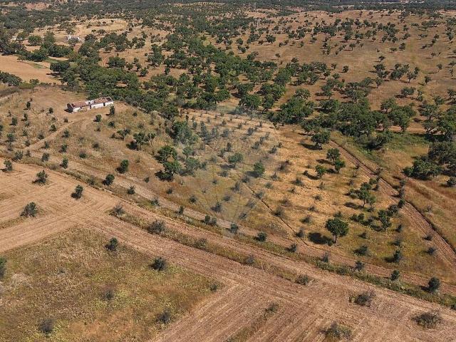 Quinta venda em Setúbal