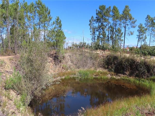 Quinta venda em Santo André das Tojeiras, Castelo Branco