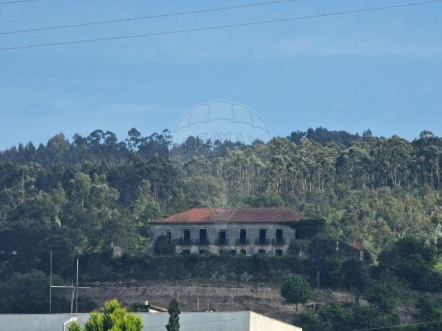 Quinta venda em Santo Tirso, Porto