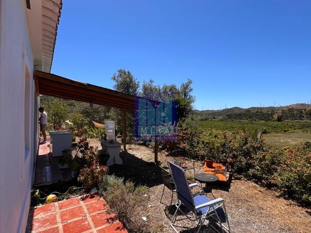 Quinta venda em Silves, Faro
