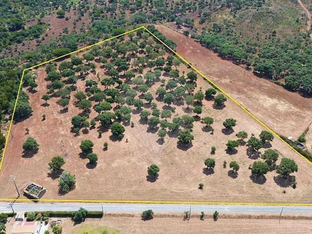 Quinta venda em Setúbal
