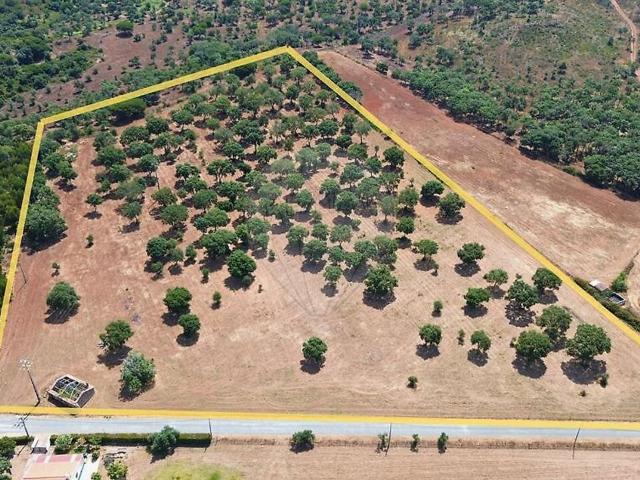 Quinta venda em Sines, Setúbal