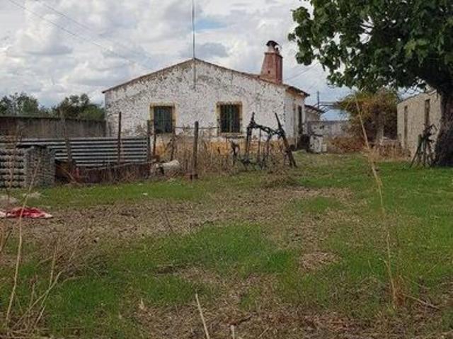 Quinta venda em Sousel, Portalegre