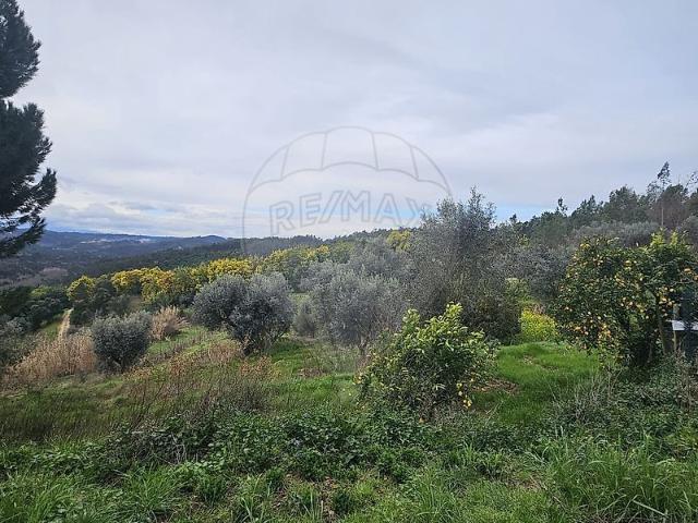 Quinta venda em Tábua, Coimbra