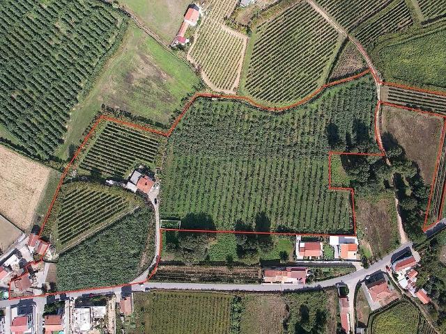 Quinta venda em Torrados e Sousa, Felgueiras