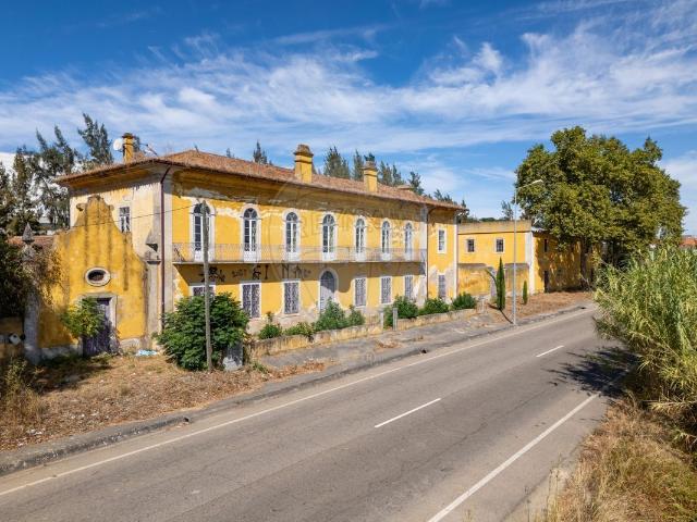 Quinta venda em Torres Novas, Santarém